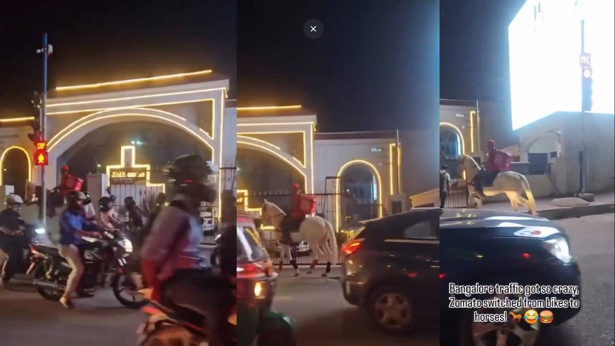 Zomato Delivery on Horse? Unusual Bengaluru Video Leaves Netizens Laughing