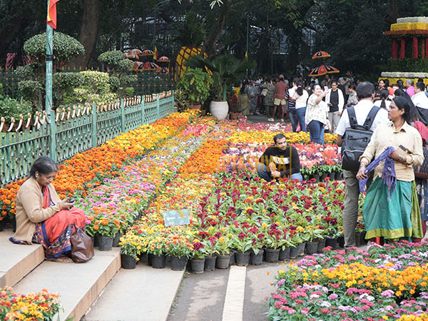 Cubbon Park Flower Show Bengaluru 2025; See Photos