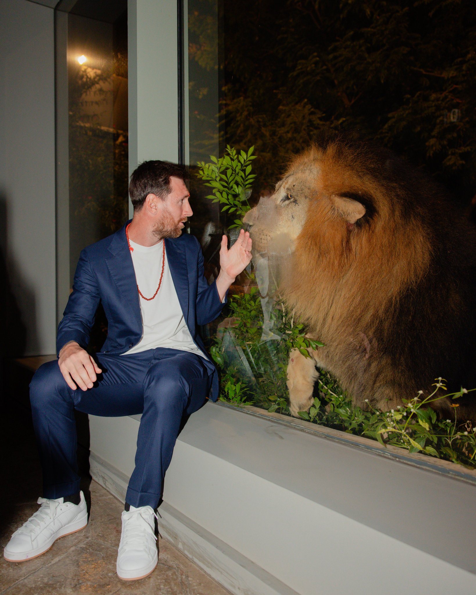 Lionel Messi Visits Anant Ambani’s Vantara; Touches Lord Hanuman’s Feet in Heartwarming Cultural Moment
